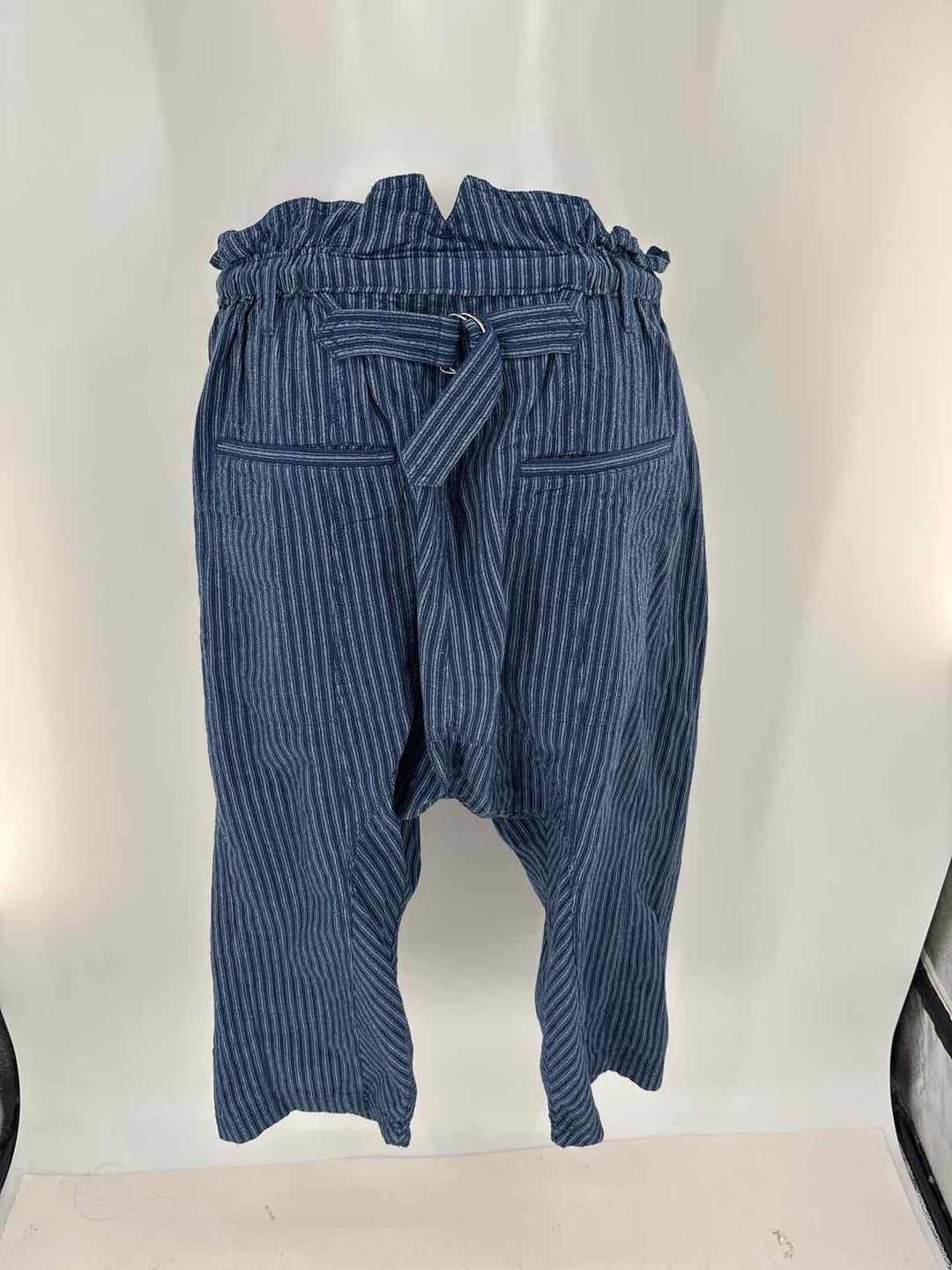 Size M FREE PEOPLE Blue Pants