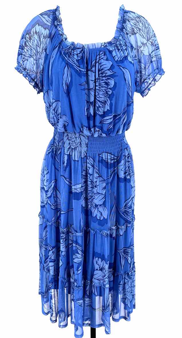 Size 10 Blue Mesh Dress