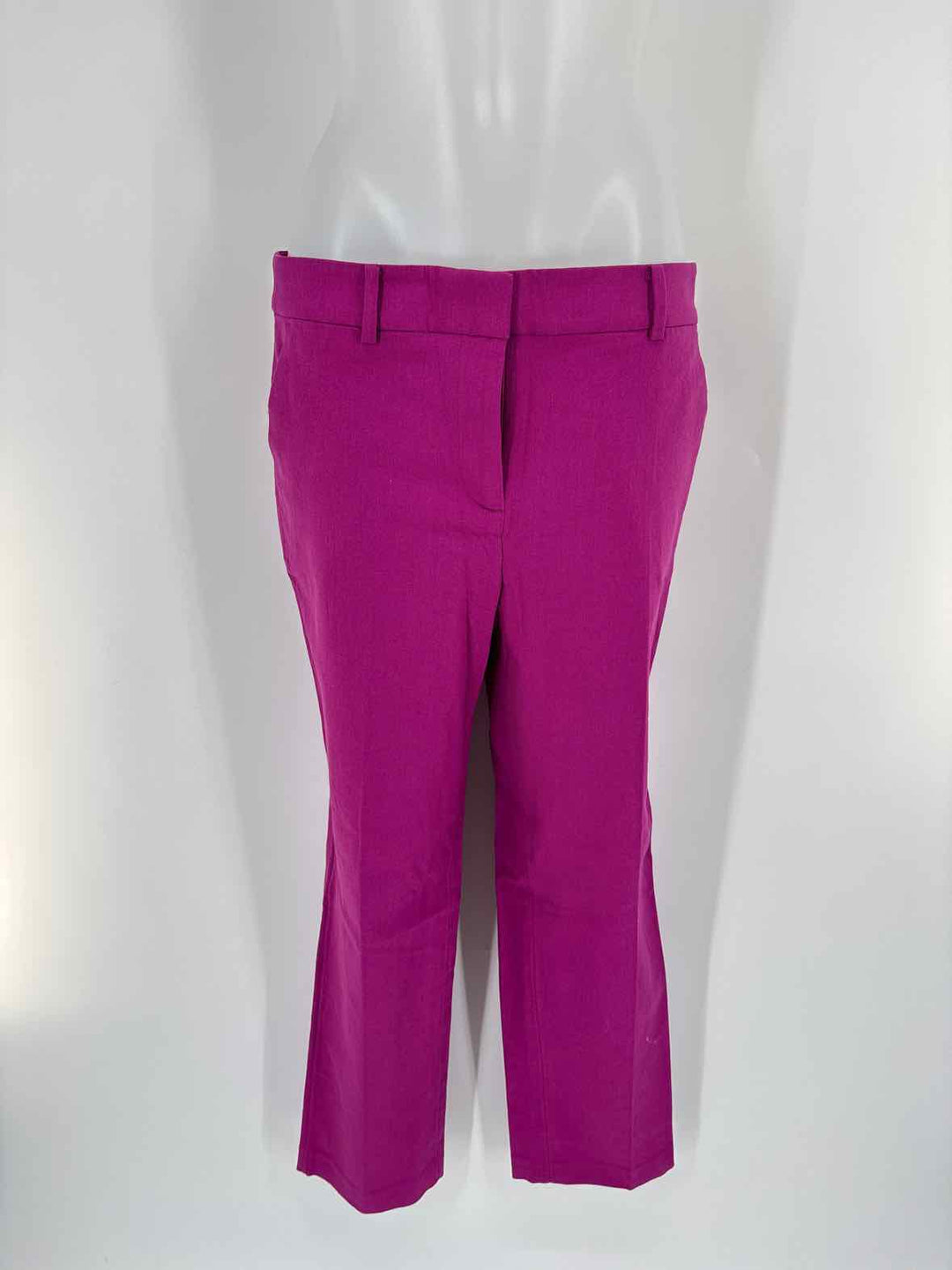 Size 6 LOFT Purple Pants
