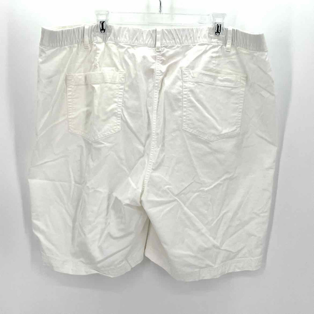 Size 24 J JILL White Shorts