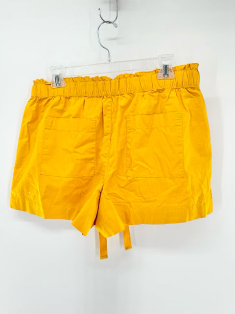 Size M LOFT Mustard Shorts