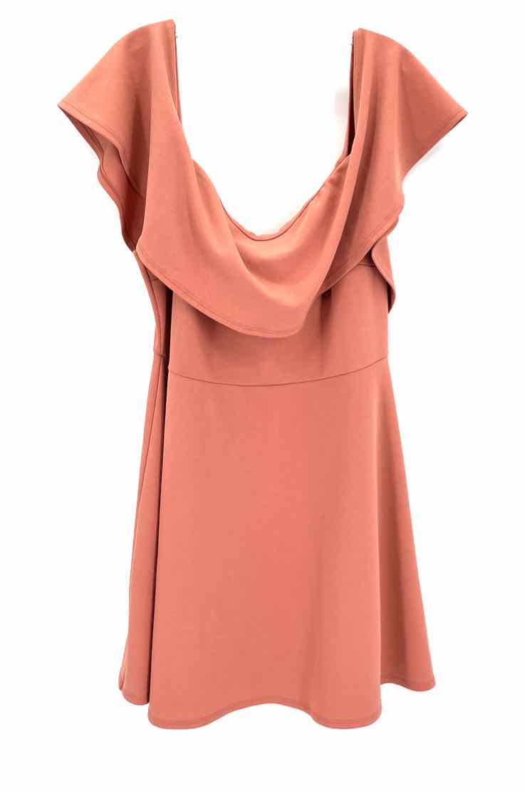 Size 2X Peach Dress