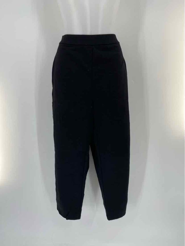 Size XL Eileen Fisher Black Pants