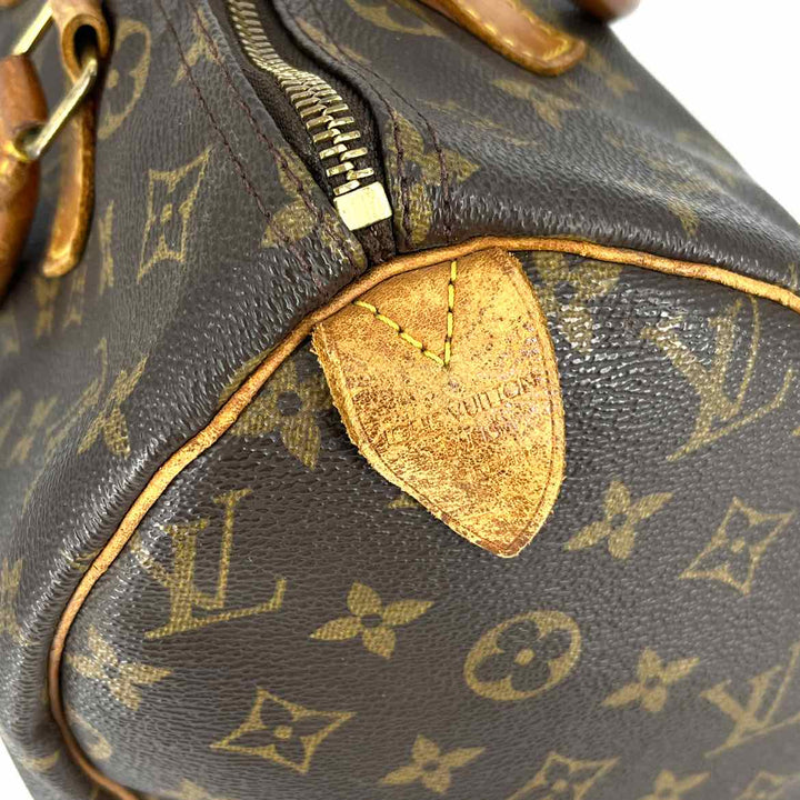 Louis Vuitton Luxury - Purse