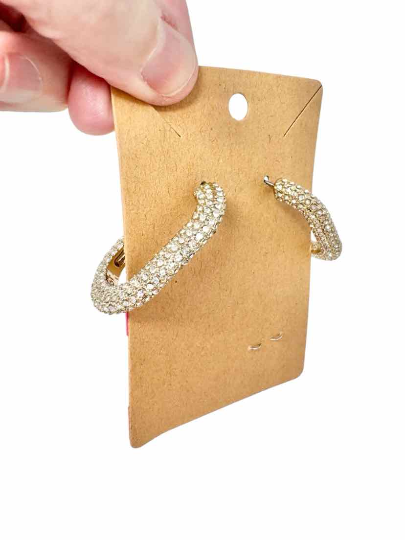 J Crew Earrings