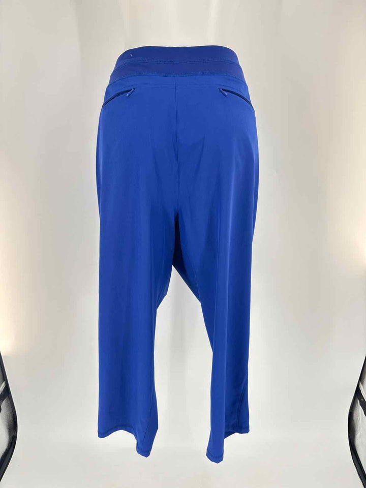 Size 14 Chico's Purple Pants