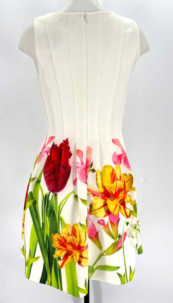 Size S Multi-Color Dress