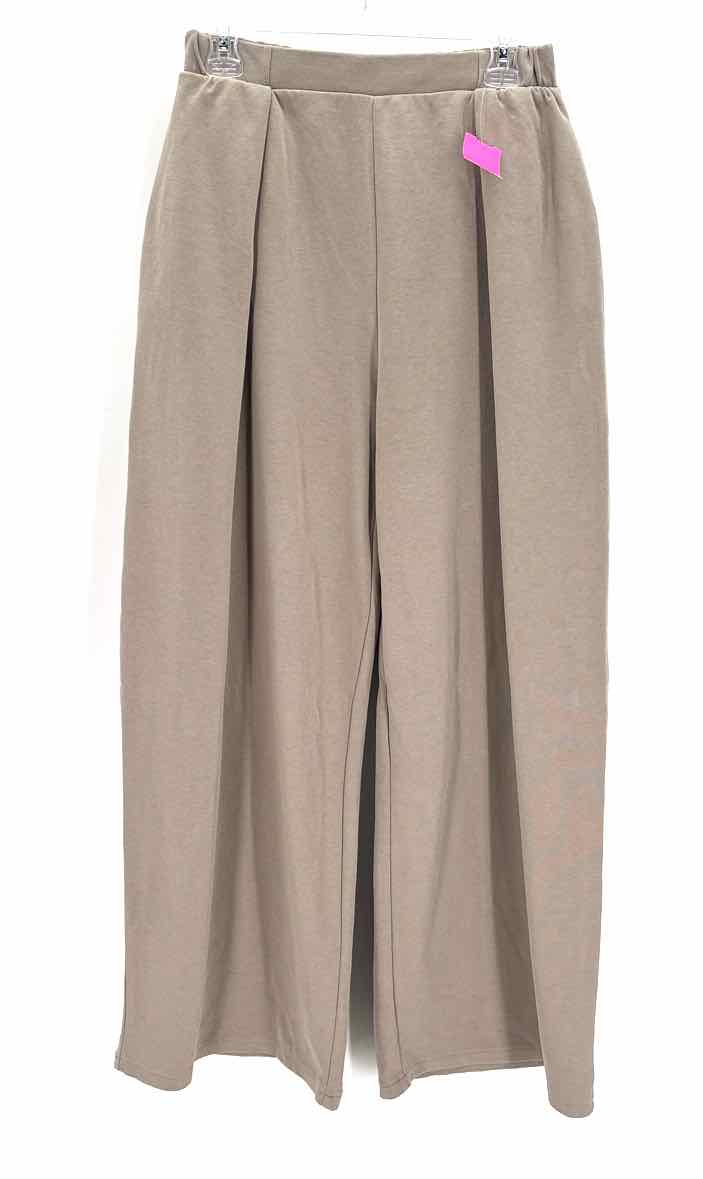 Size M ZARA Gray Pants