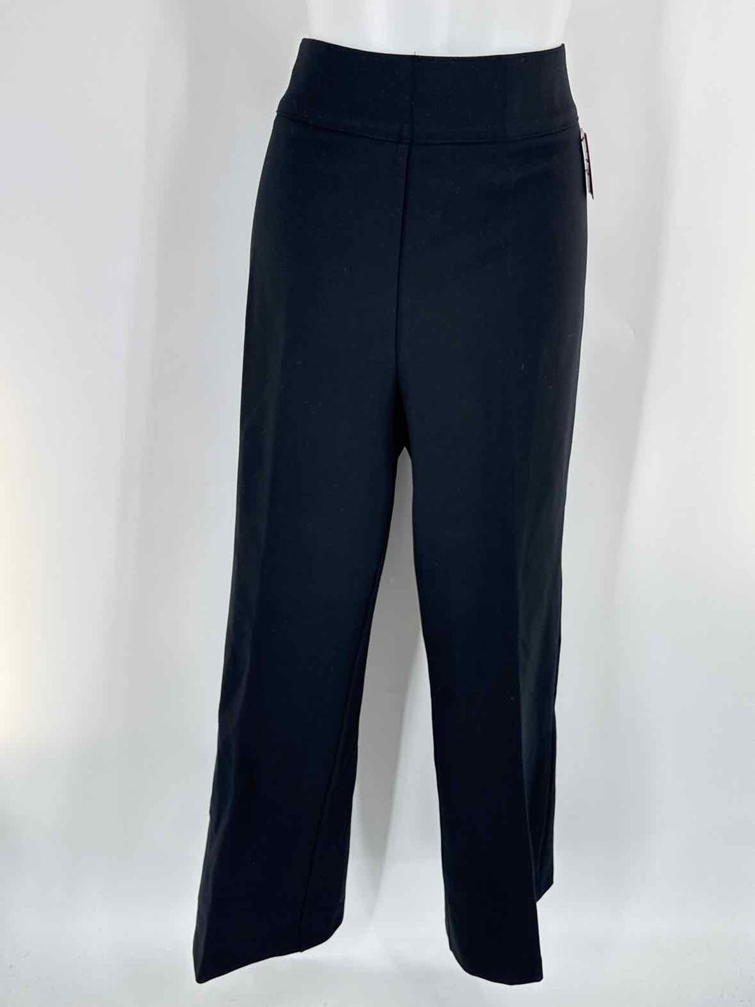 Size 1X SPANX Black Pants