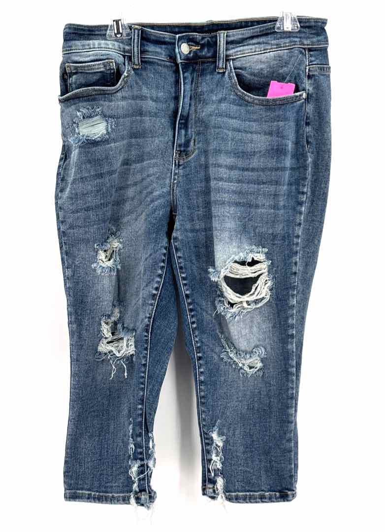 Size 14W JUDY BLUE Blue Denim Jeans