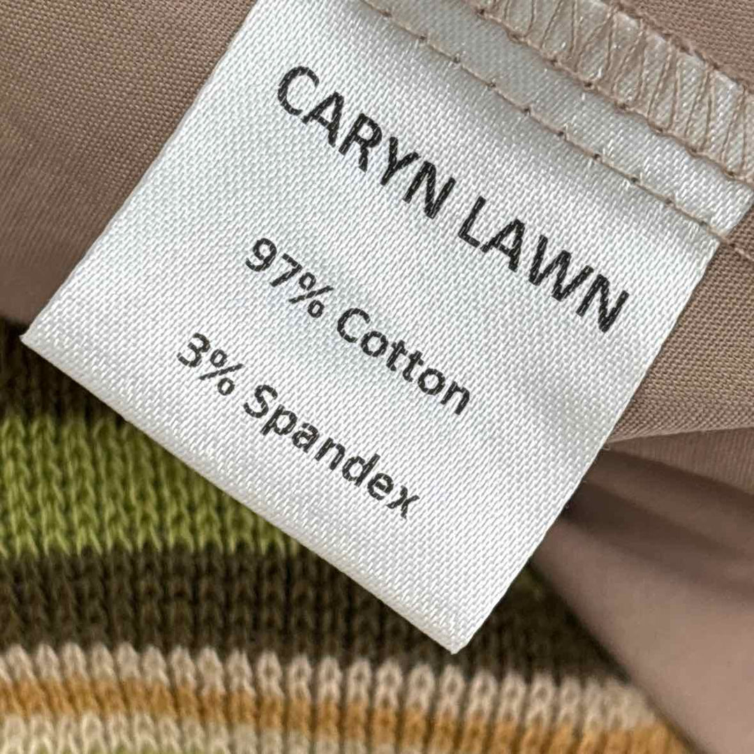 Size L Brown Dress
