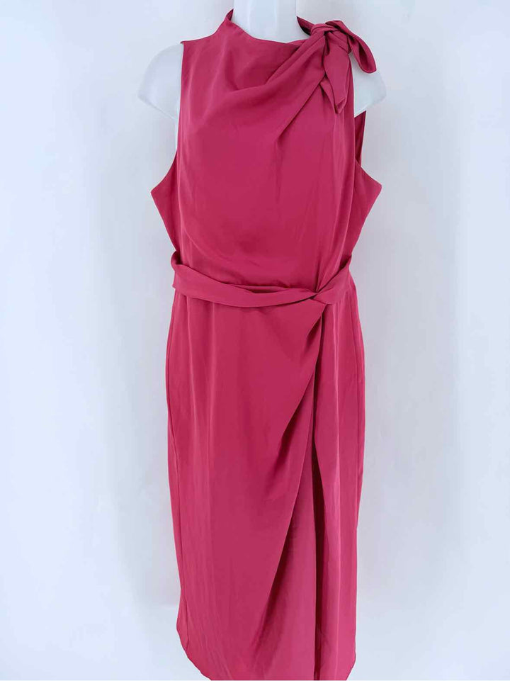 Size 16 Banana Republic Fuschia Silk Dress