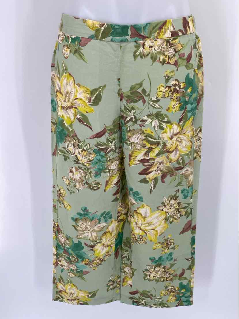 Size M Talbots Green Print Pants