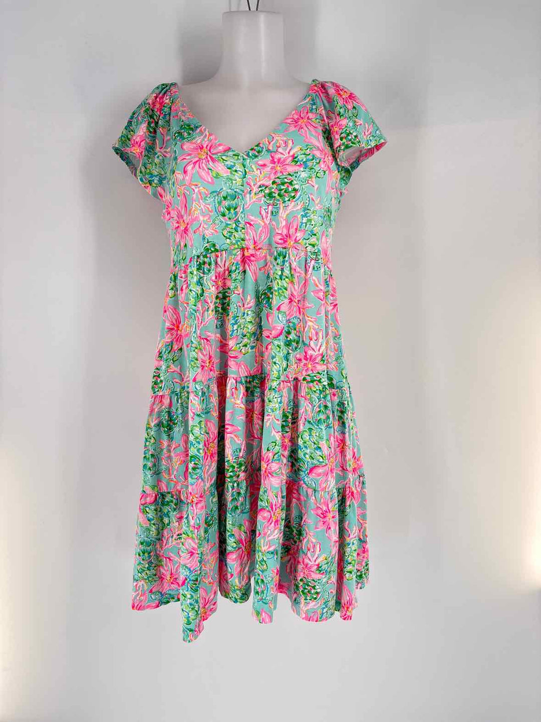 Size M Lilly Pulitzer Multi-Color Dress