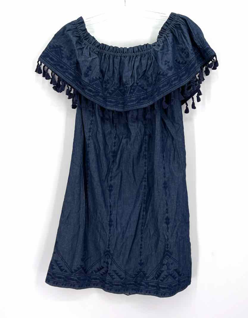 Size M PARKER Denim Chambray Dress