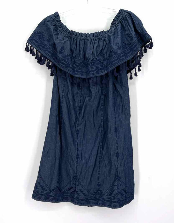 Size M PARKER Denim Chambray Dress