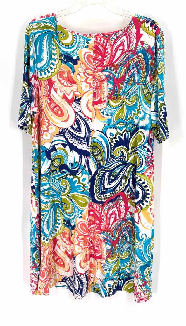 Size XL Chico's Multi-Color Dress