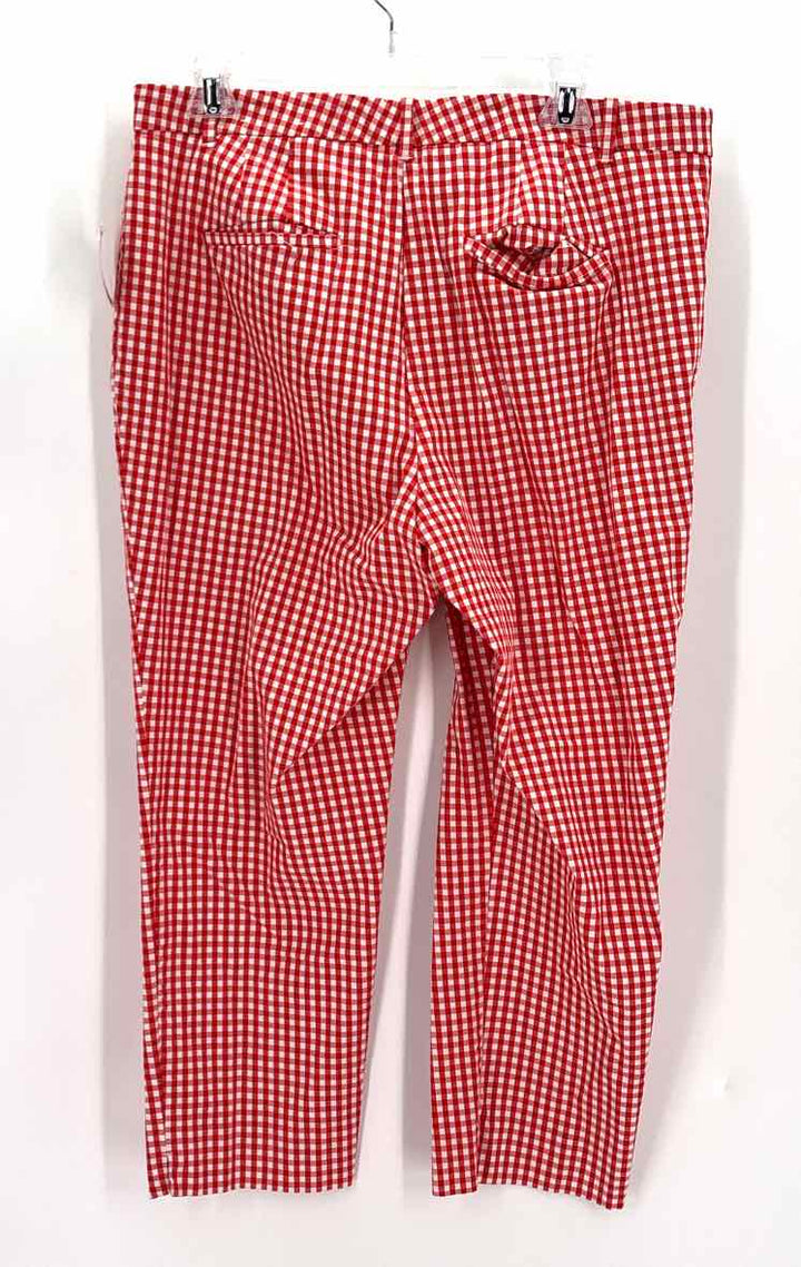 Size 12 Ann Taylor Red Pants