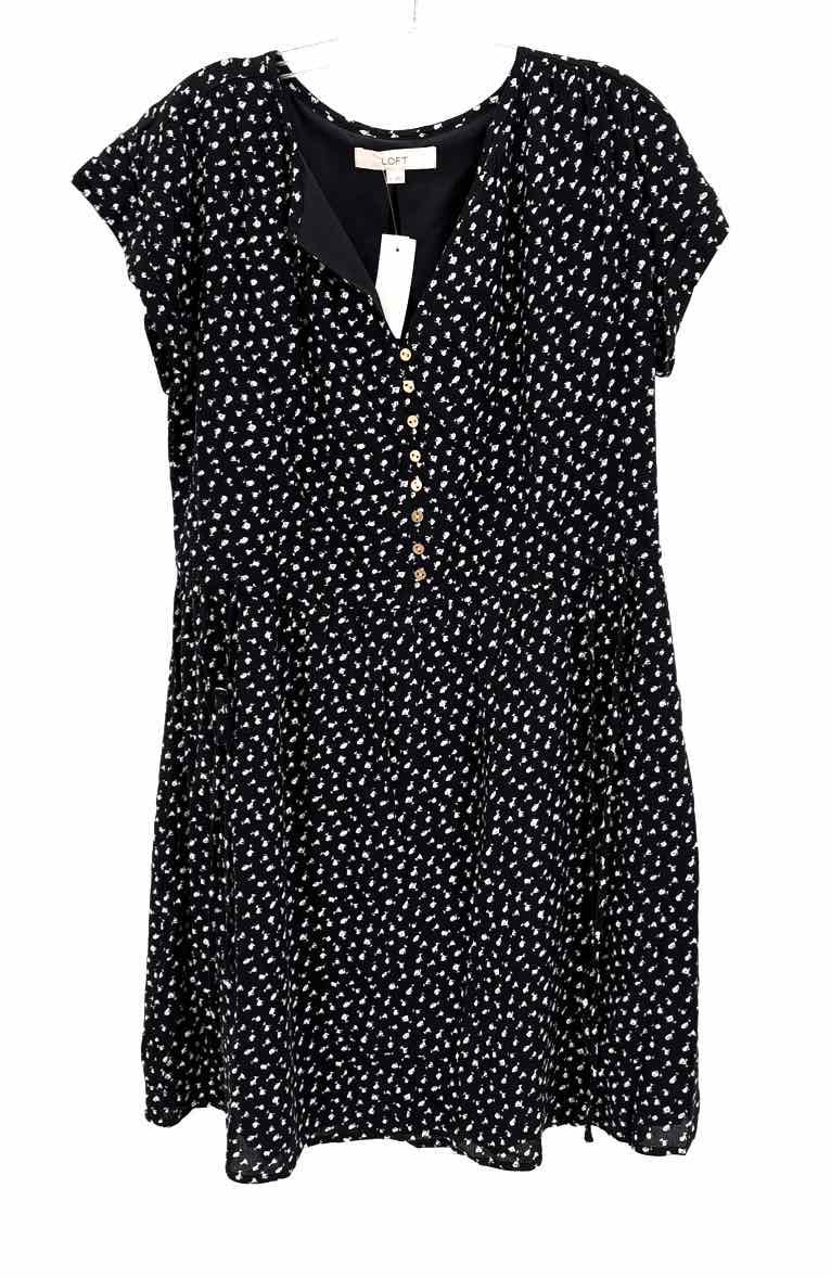 Size S LOFT Black/White Dress