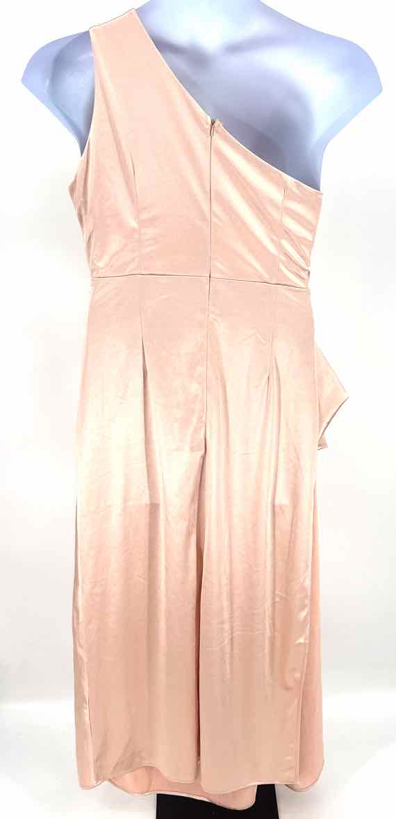 Size 1X Champagne Dress