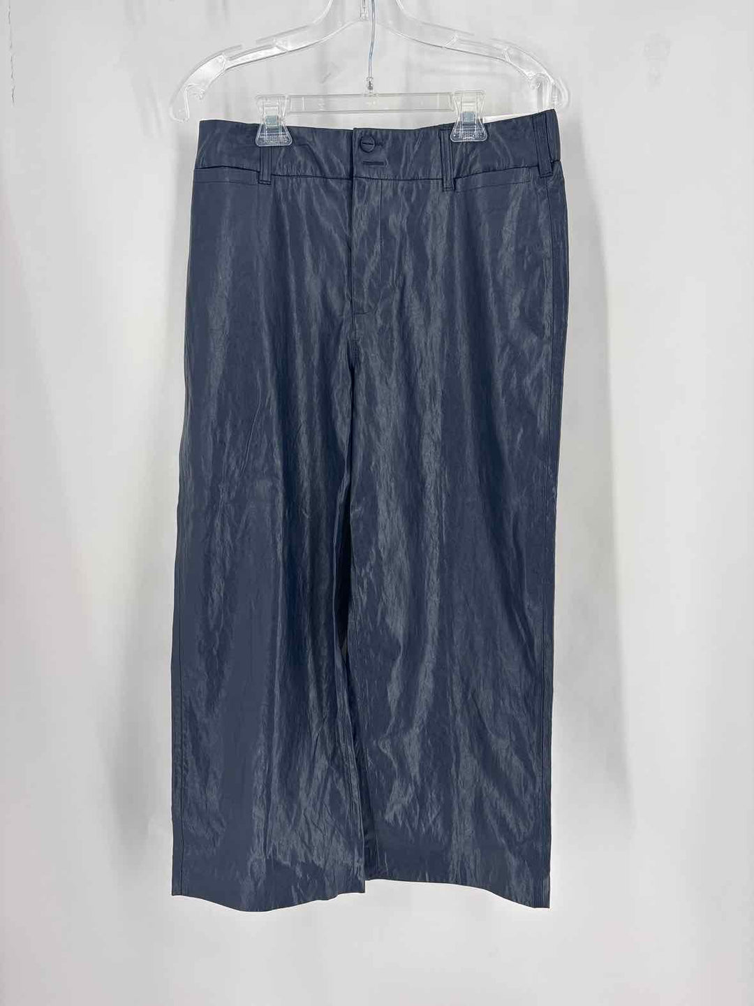 Size 8 Chico's Navy Pants