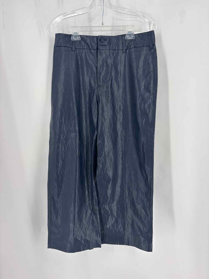 Size 8 Chico's Navy Pants