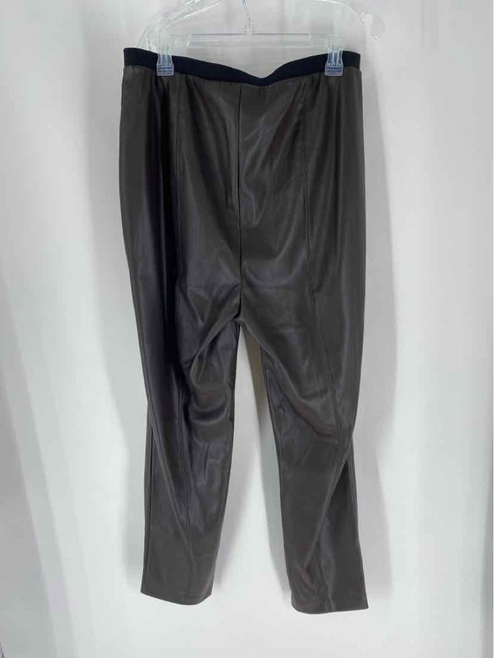 Size XL J JILL Brown Pants