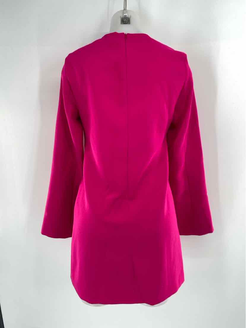Size S ZARA Fuschia Dress