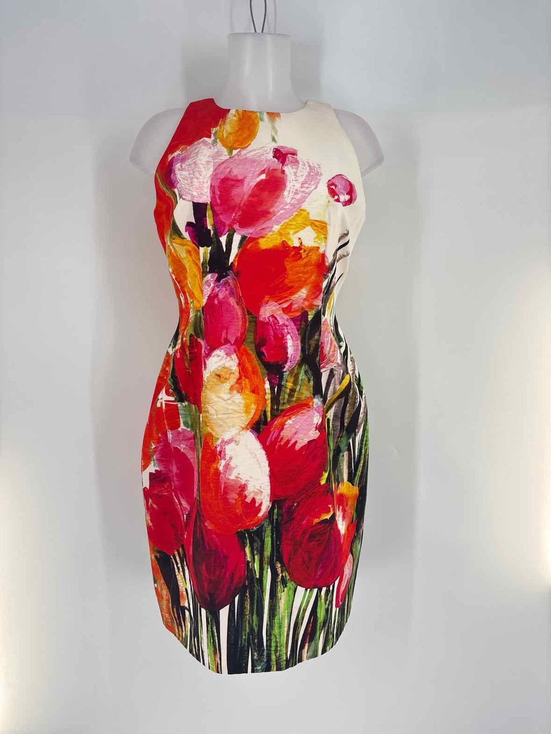 Size 8 CARMEN MARC VALVO Multi-Color Dress