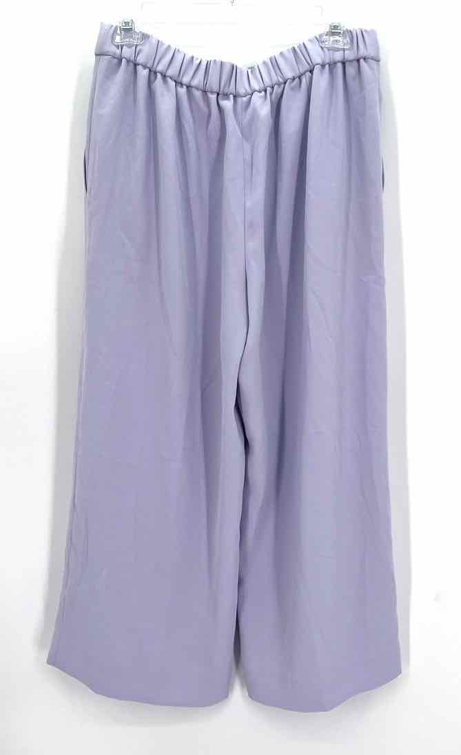 Size 6 J Crew Purple Pants