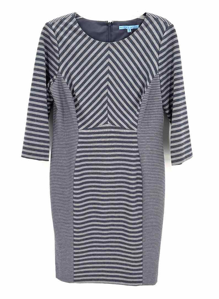 Size 10 ANTONIO MELANI Gray Dress
