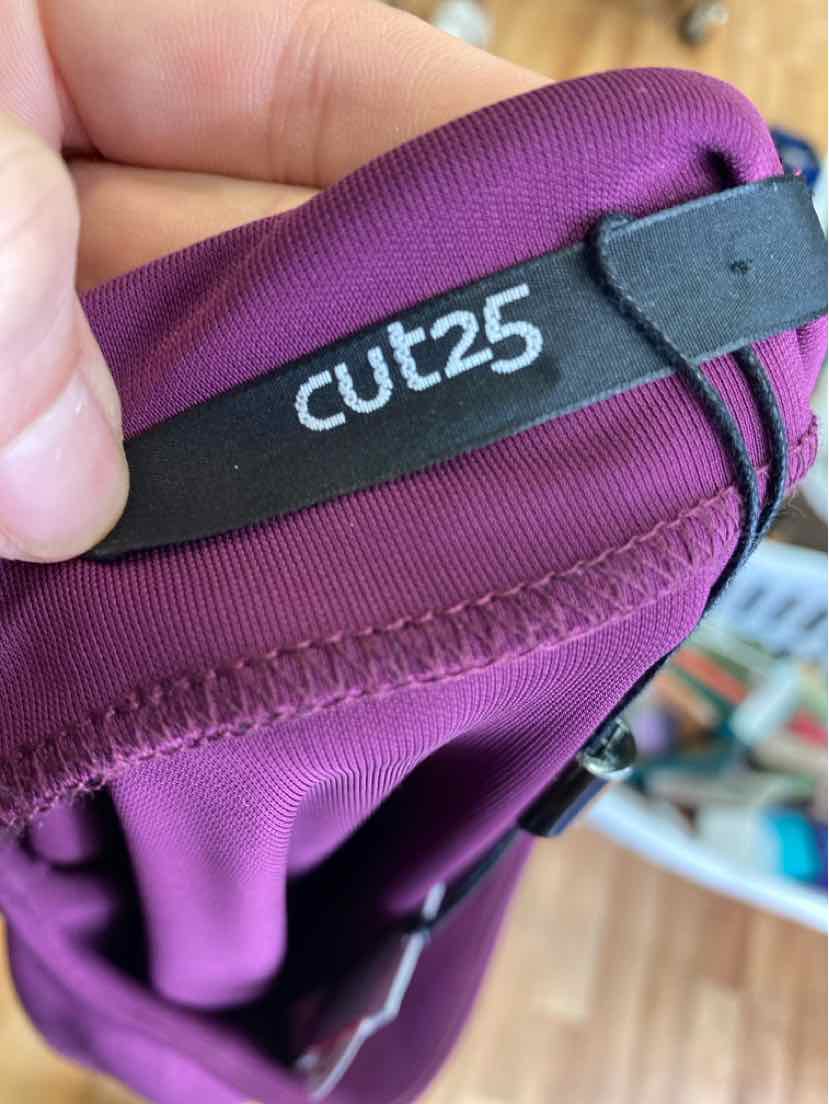 Size S Purple Dress