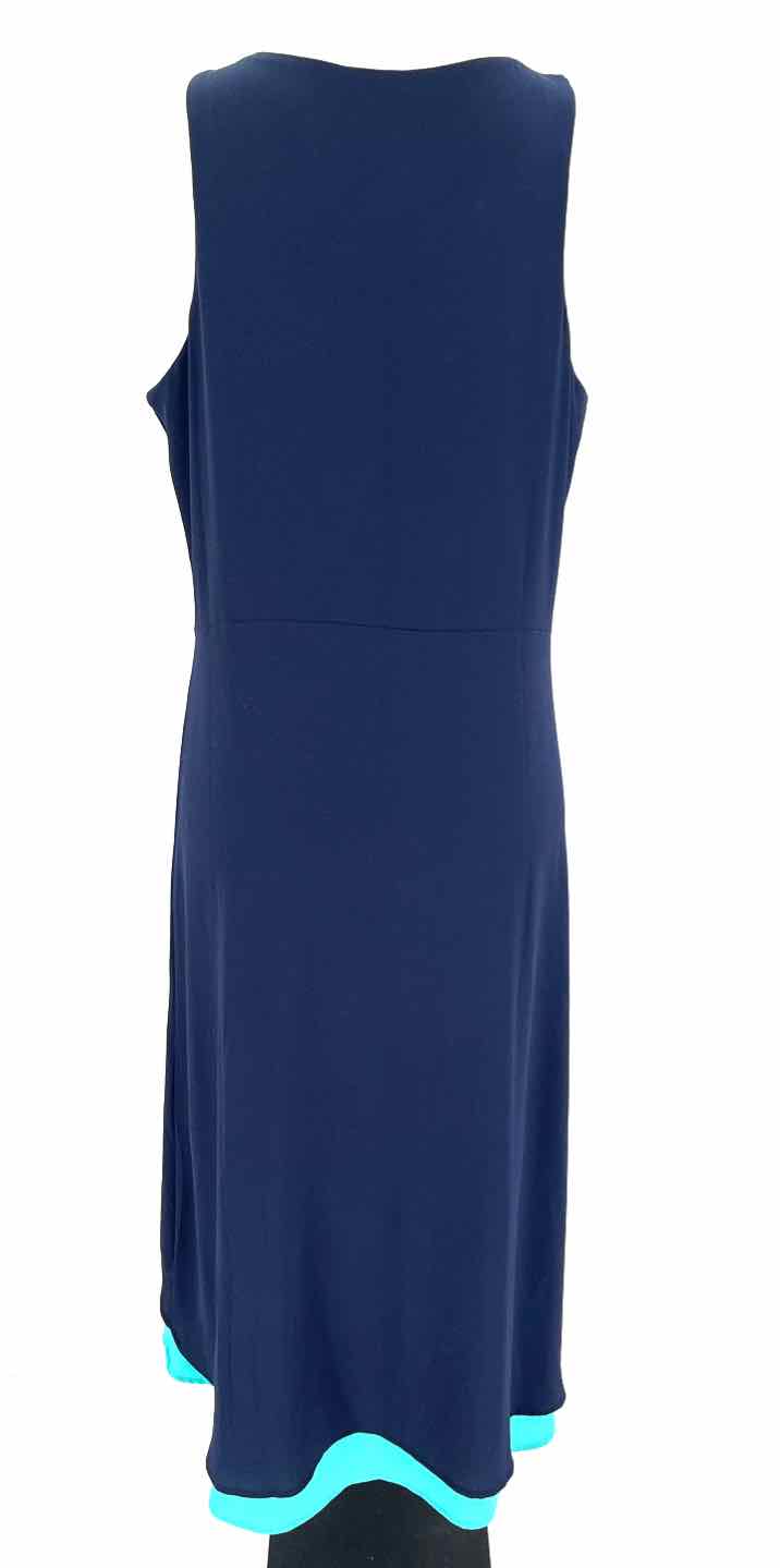 Size L Navy Dress