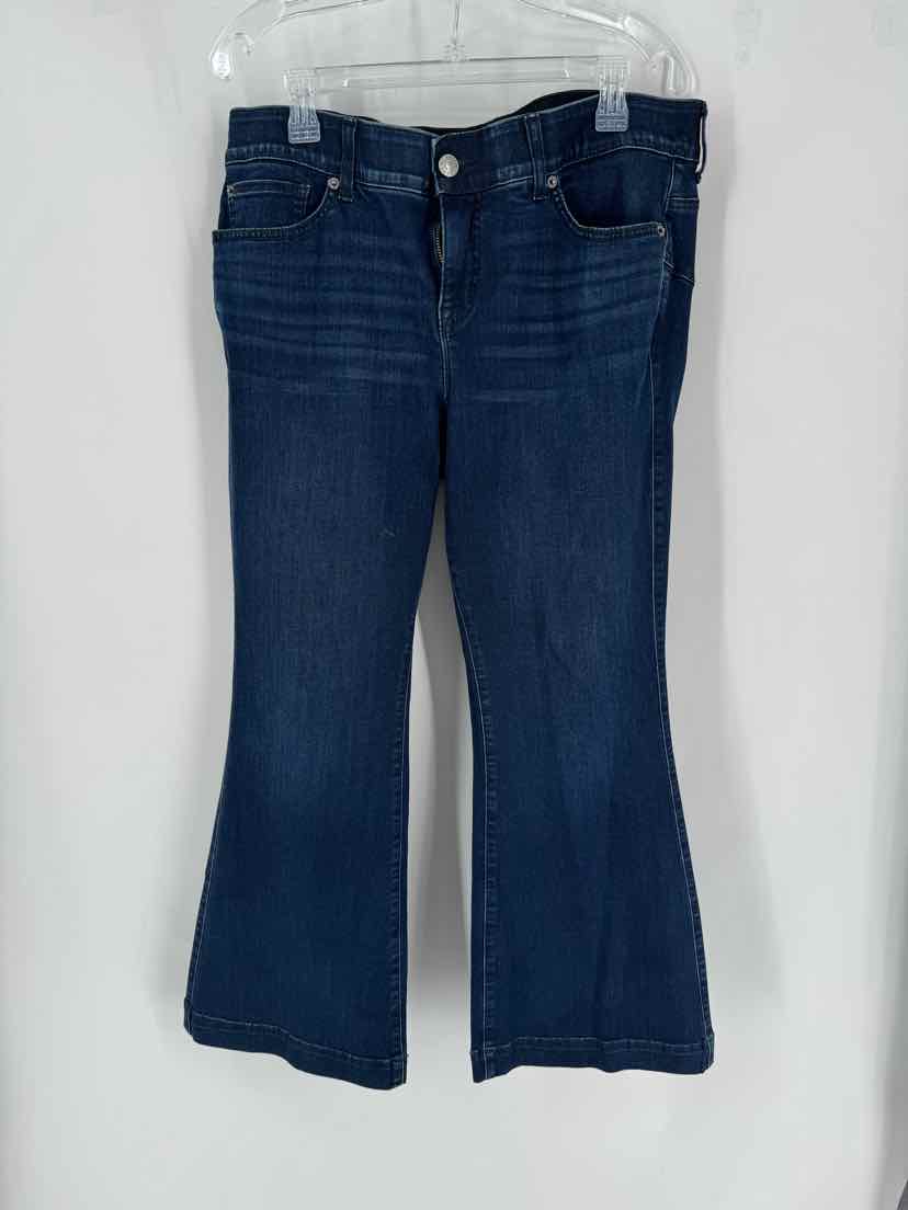 Size 18 Torrid Denim Pants