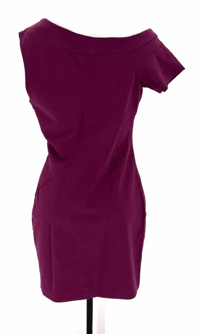 Size 12 Plum Dress