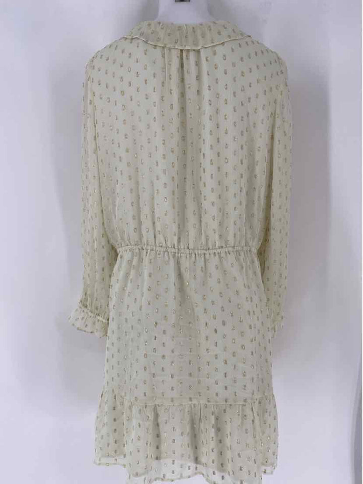Size XL Ann Taylor Ivory Dress