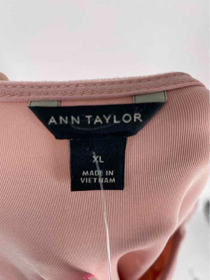 Size XL Ann Taylor Pink Velour Sweater