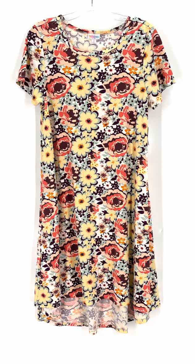 Size M lularoe Ivory Dress