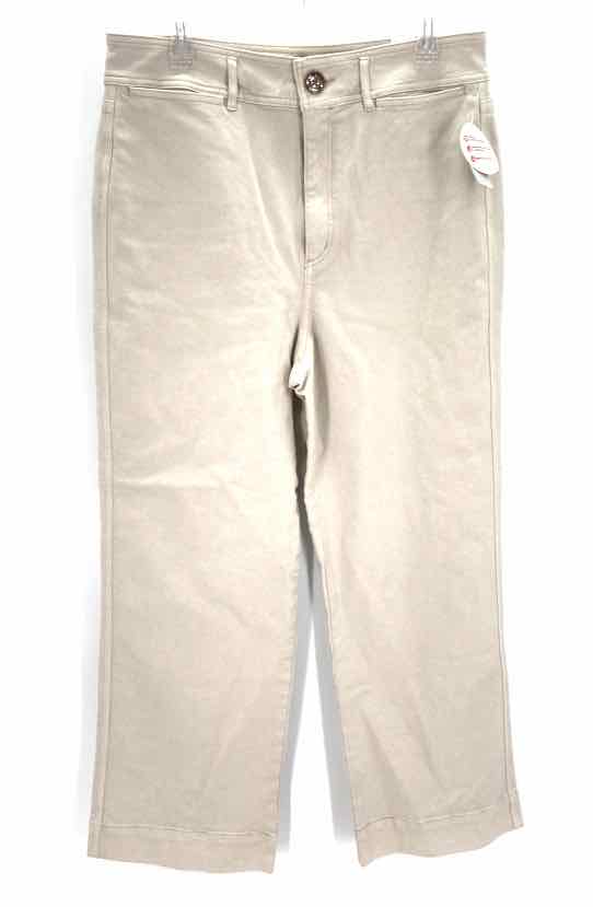 Size 31 LOFT Ivory Pants