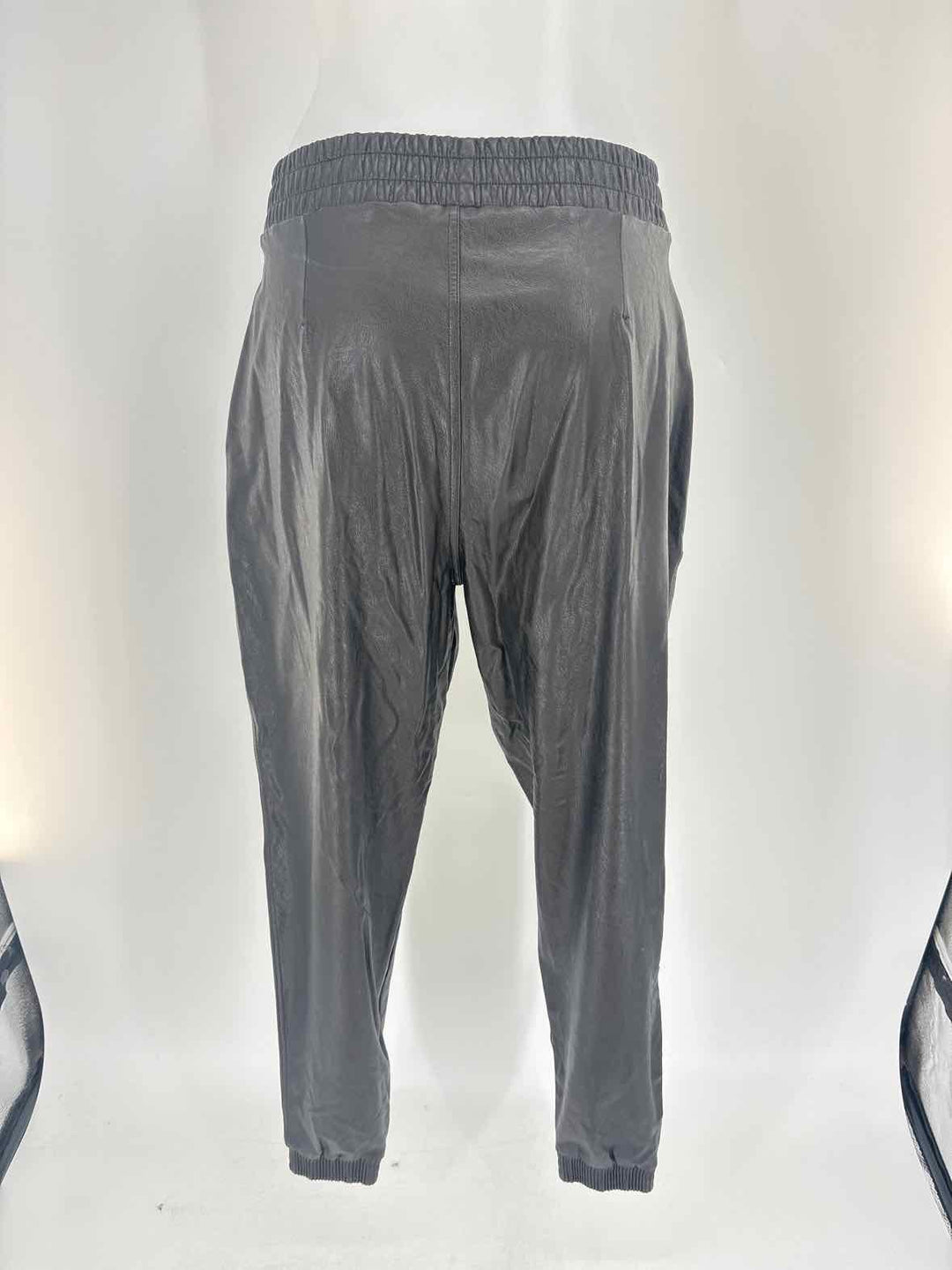 Size XL SPANX Black Pants