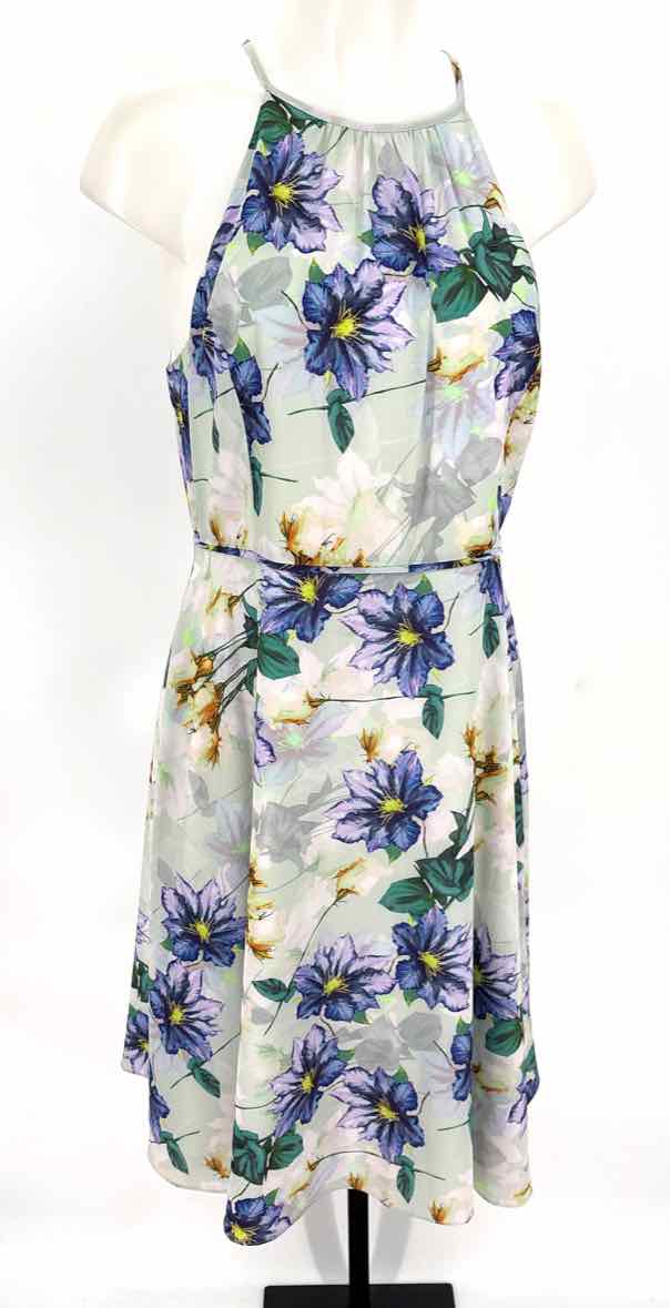 Size 12 ALEX MARIE Multi-Color Dress