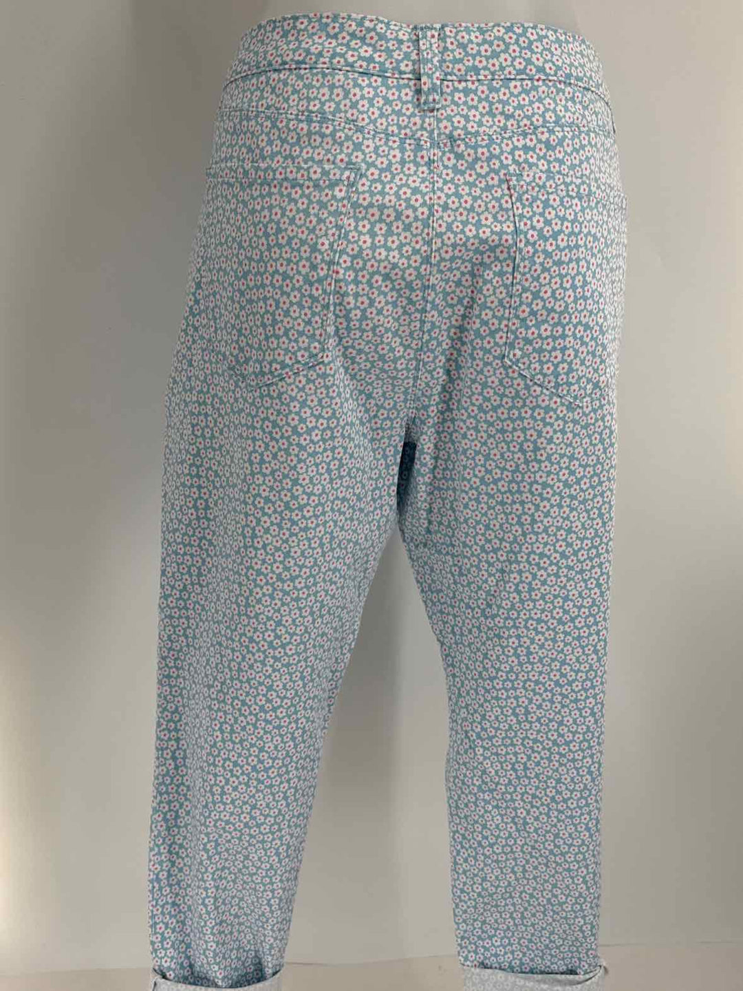 Size 14 CHARTER CLUB Blue Pants