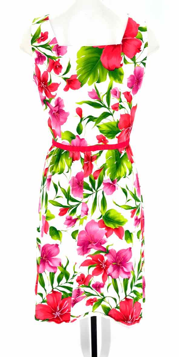 Size 10 Multi-Color Dress