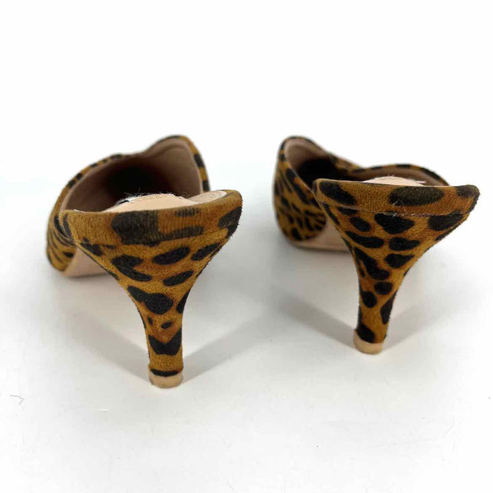 Shoe Size 10 Brown Pumps