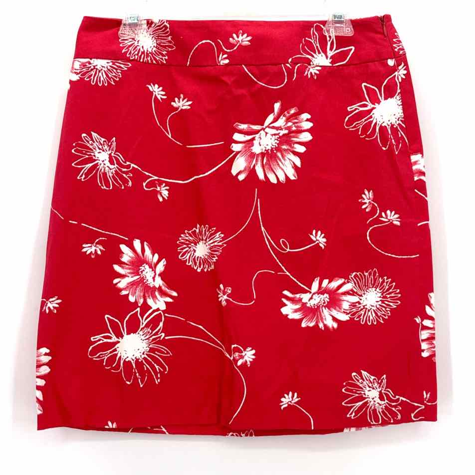 Size 10 RAFELLA Pink Skirt