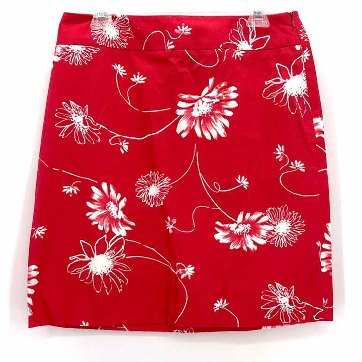 Size 10 RAFELLA Pink Skirt