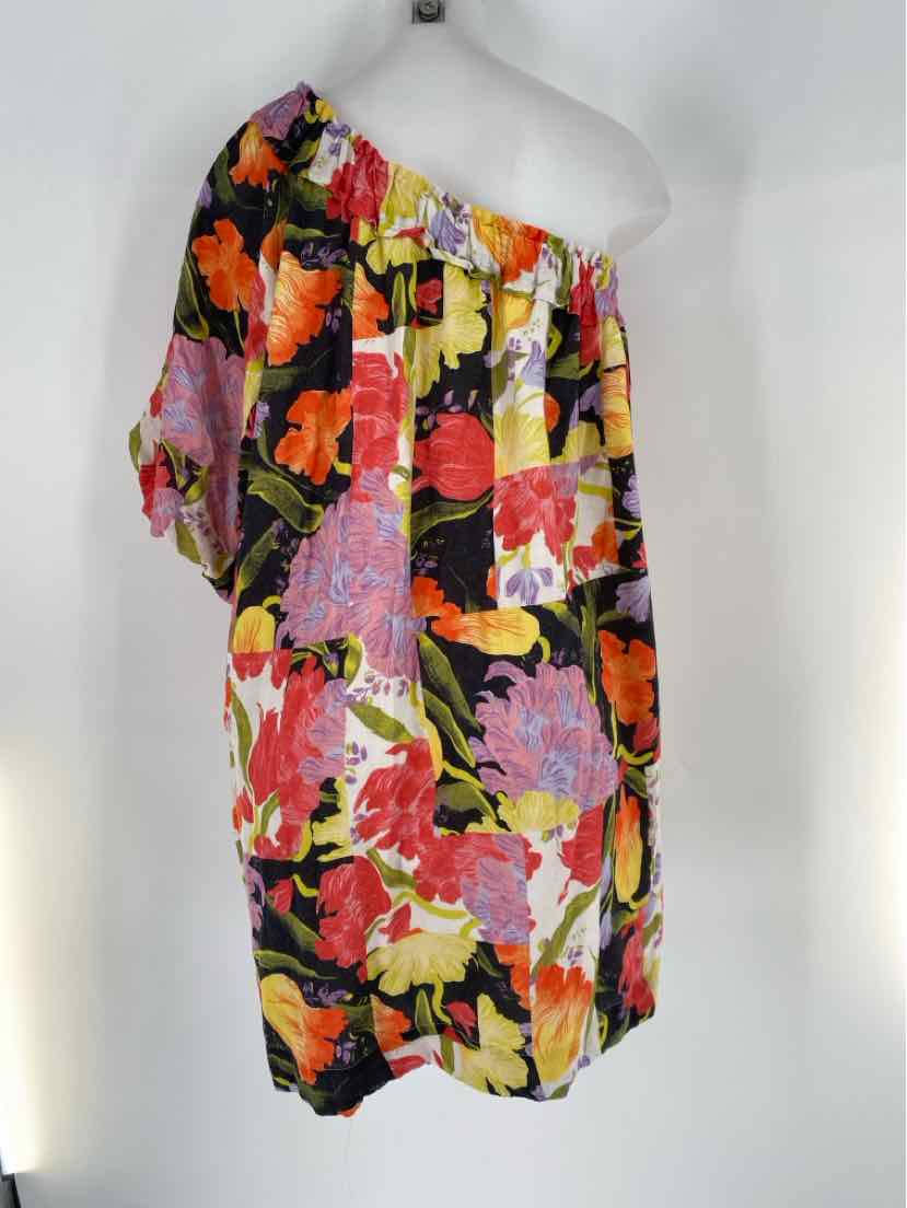 Size 1X Anthropologie Multi-Color Dress