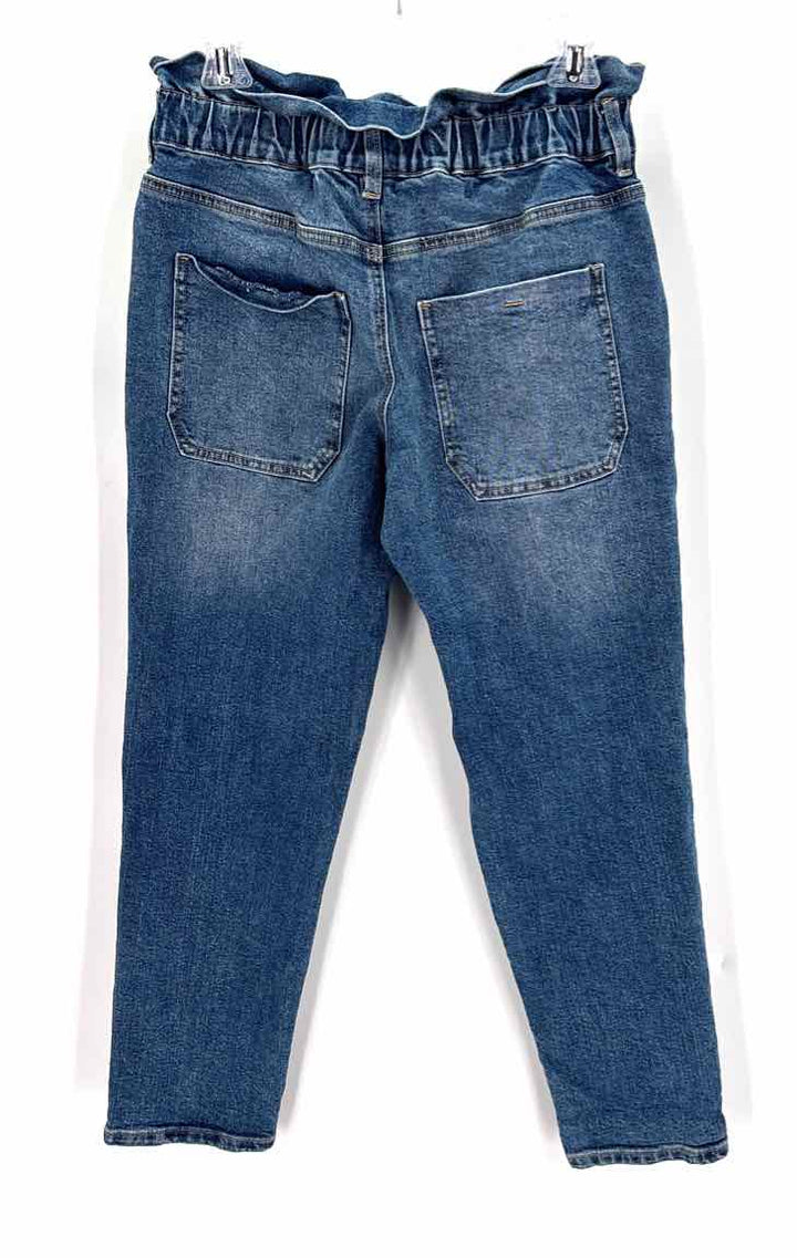 Size 27 AMERICAN EAGLE Denim Pants