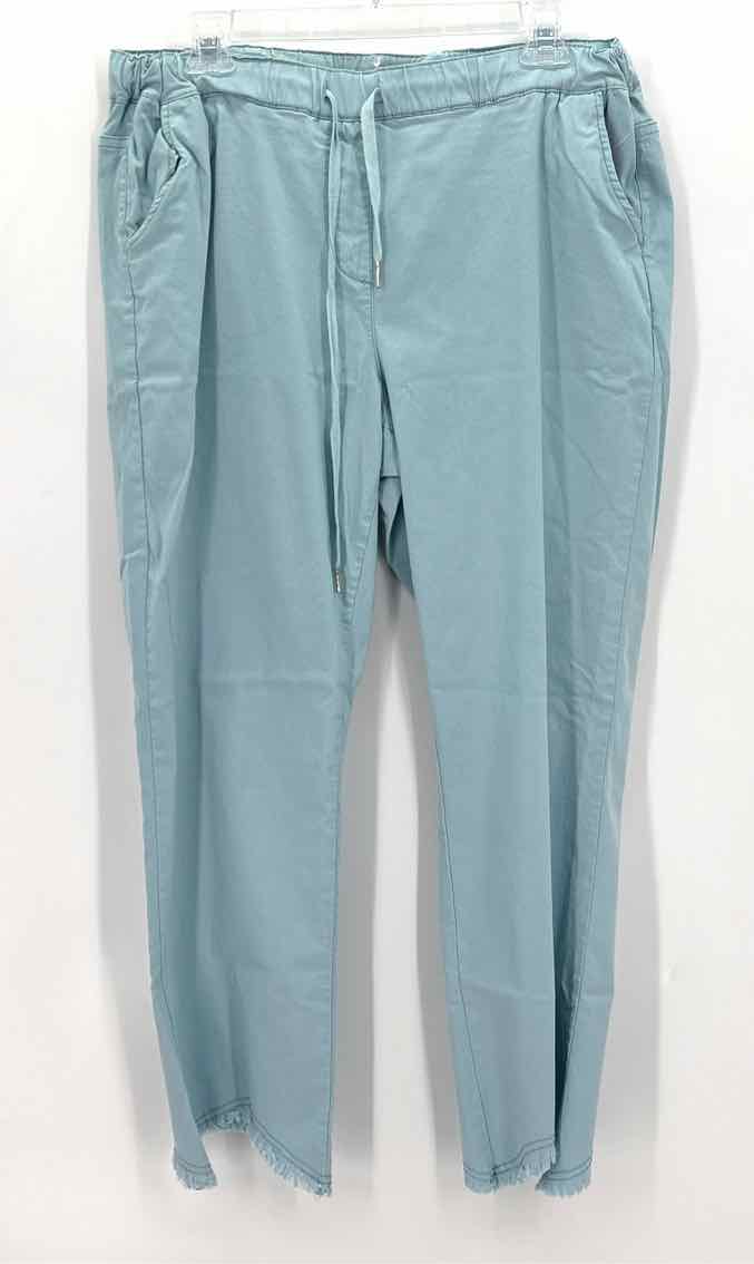 Size L Light Blue Pants