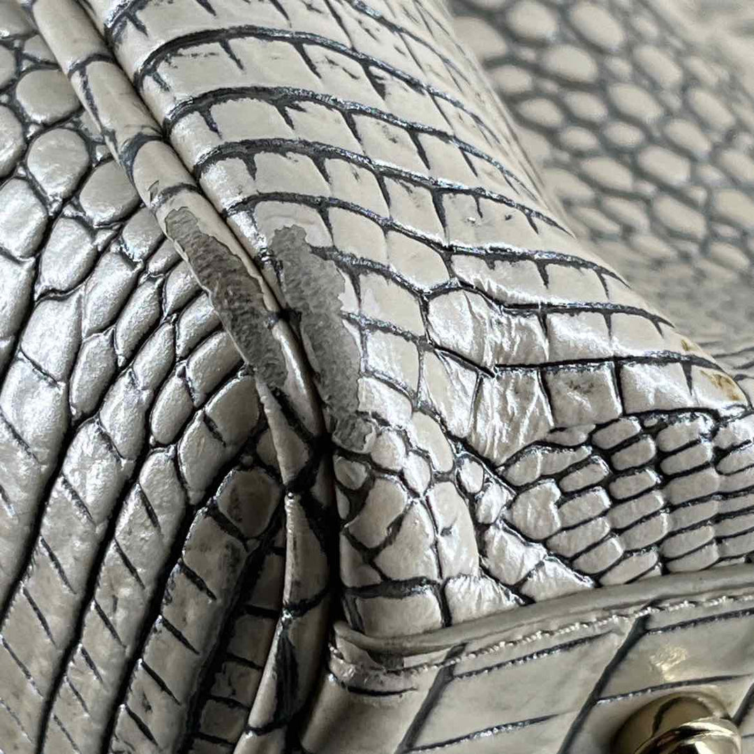 Brahmin Purse